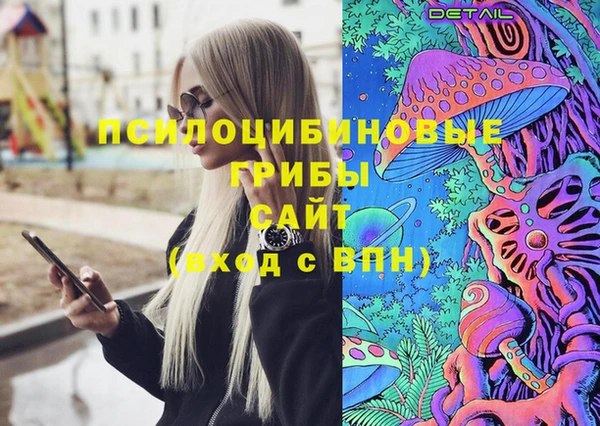 хмурый Алзамай