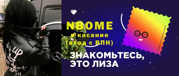 хмурый Алзамай