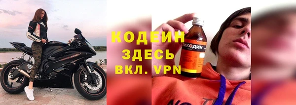 хмурый Алзамай