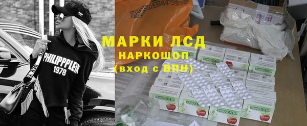 хмурый Алзамай